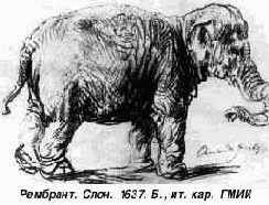 Рембрант «Слон»