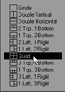  Display Options