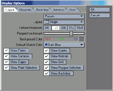 В окне Display Options указывается